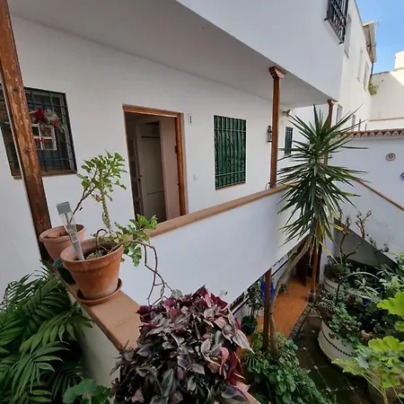 Del Alcazar Viejo De San Basilio