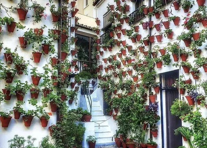 Vivienda Turistica En Alcazar Viejo San Basilio Διαμέρισμα Κόρδοβα
