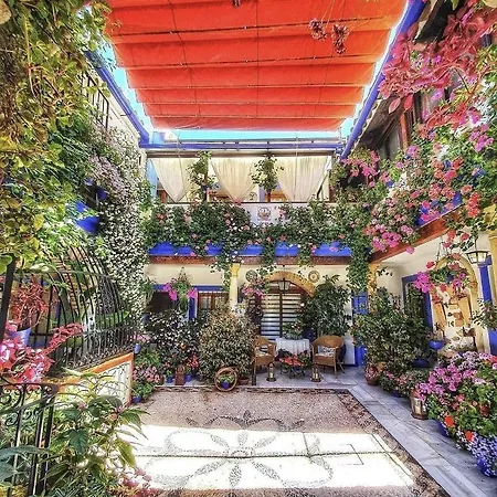 Vivienda Turistica En Alcazar Viejo San Basilio *