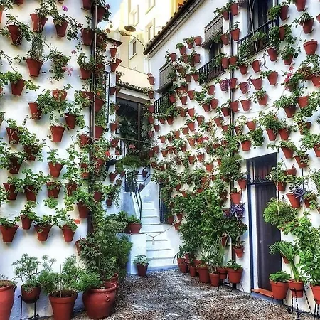 Vivienda Turistica En Alcazar Viejo San Basilio アパート コルドバ